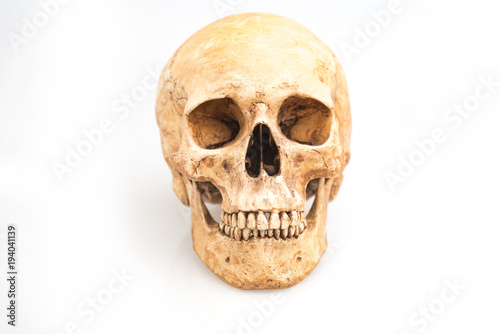 real human skull isolated on white background