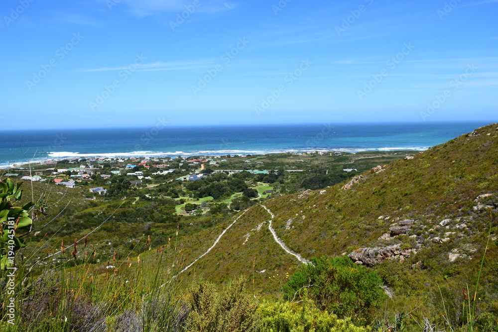 Wandern in der Fynbos Landschaft um Bettys Bay, Südafrika