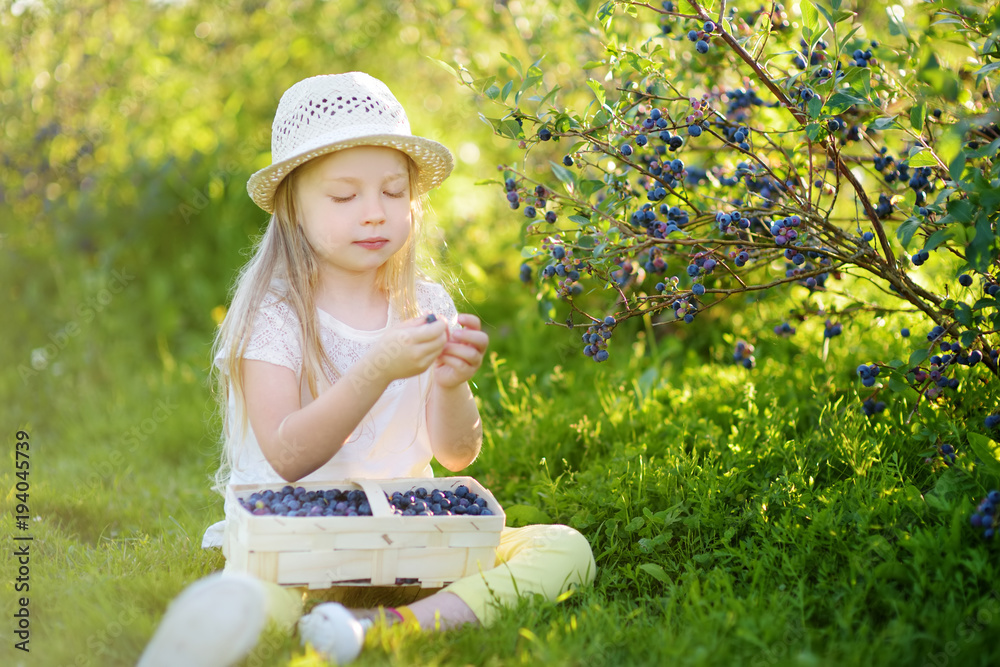 Cute little girl picking fresh berries on organic blueberry farm on warm and sunny summer day. Fresh healthy organic food for kids. Cute little girl picking fresh berries on organic blueberry farm on warm and sunny summer day. Fresh healthy organic food for kids.