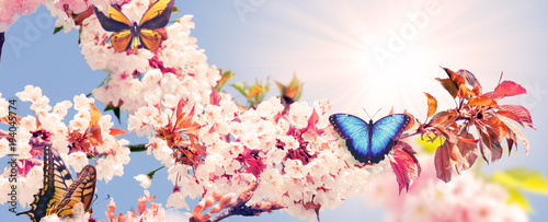 Der Frühling ist da!