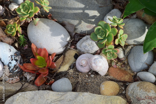 Botanischer Garten in Bettys Bay