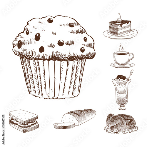 Food sketch vector natural menu restaurant fresh hand drawn product and kitchen doodle meal cooking cuisine sketchy organic illustration.