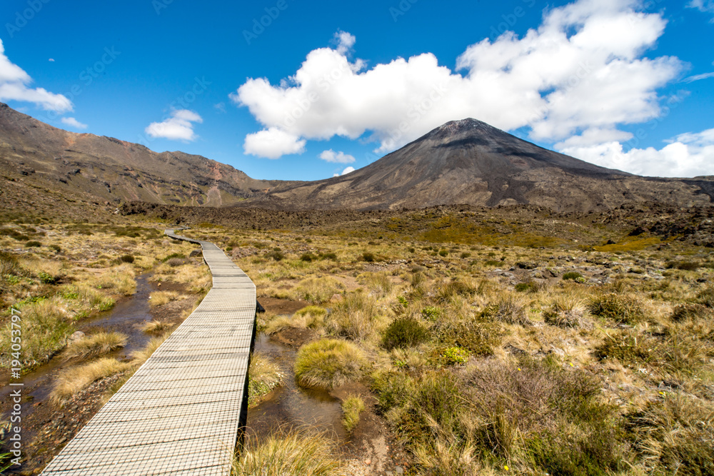 Path towards Mt Ngauruhoe Volcano, New Zaland - Mount Doom