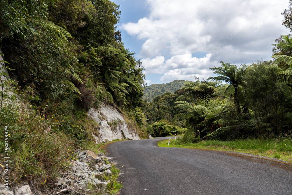 Road Trip through rainforest/jungle on gravel