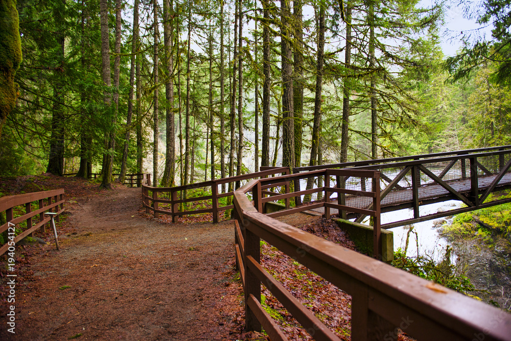 View of the bridge over Englishman River Falls in Vancouver Island, BC View of the bridge over Englishman River Falls in Vancouver Island, BC