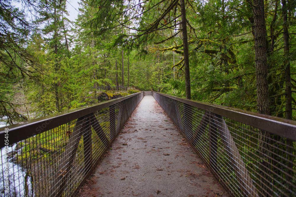 View of the bridge over Englishman River Falls in Vancouver Island, BC View of the bridge over Englishman River Falls in Vancouver Island, BC