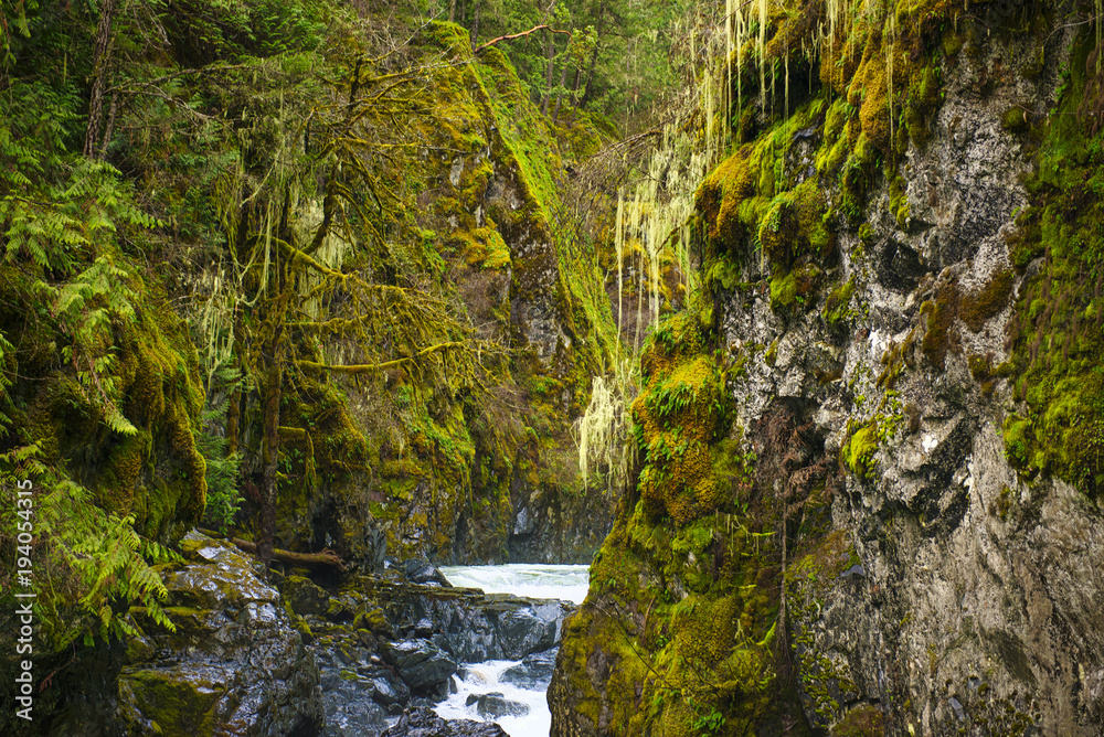 Englishman River Falls lower waterfalls in Vancouver Island, BC Englishman River Falls lower waterfalls in Vancouver Island, BC
