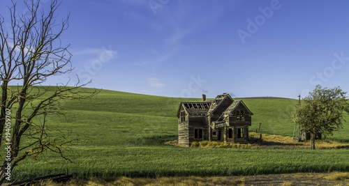 Abandoned farmhouse in a wheatfield