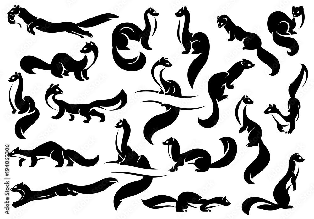 A set of figures of weasels, martens, ferrets. Black silhouette. Isolated on a white background. A set of figures of weasels, martens, ferrets. Black silhouette. Isolated on a white background.