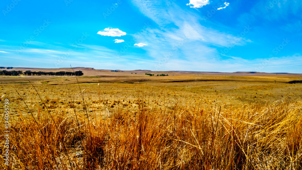 Fototapeta premium The wide open farmland and distant mountains along the N3 between Warden and Villiers in the Free State province in South Africa