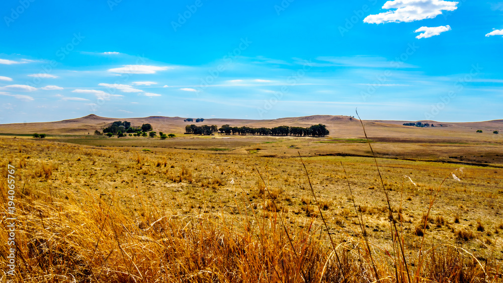 Fototapeta premium The wide open farmland and distant mountains along the N3 between Warden and Villiers in the Free State province in South Africa