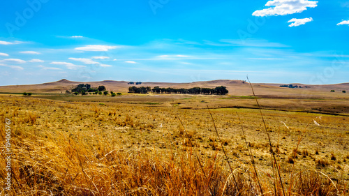 The wide open farmland and distant mountains along the N3 between Warden and Villiers in the Free State province in South Africa photo