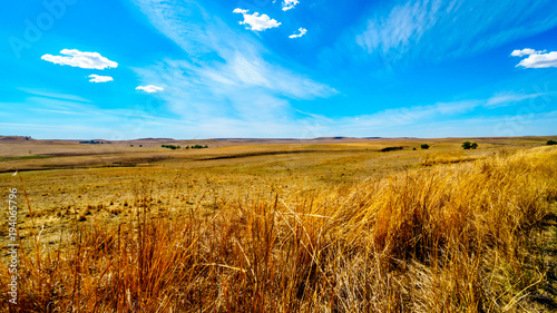 The wide open farmland and distant mountains along the N3 between Warden and Villiers in the Free State province in South Africa photo