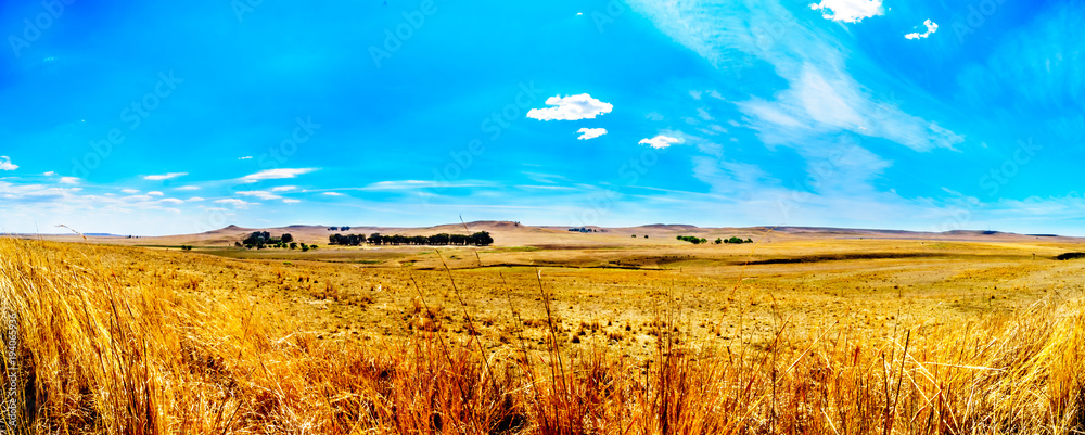 Fototapeta premium Panorama rozległych terenów uprawnych i odległych gór wzdłuż N3 między Warden i Villiers w prowincji Wolne Państwo w RPA