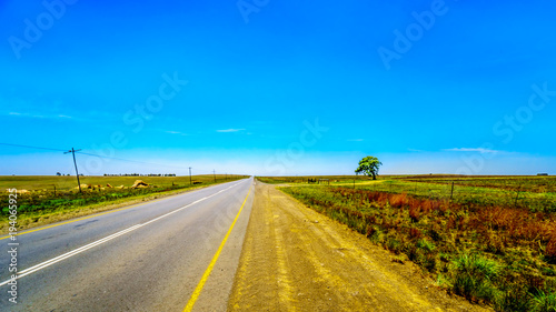 R39 highway, one of the many straight roads in South Africa, between the towns Ermelo and Standarton in Mpumalanga province photo