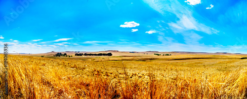 Panorama of the wide open farmland and distant mountains along the N3 between Warden and Villiers in the Free State province in South Africa