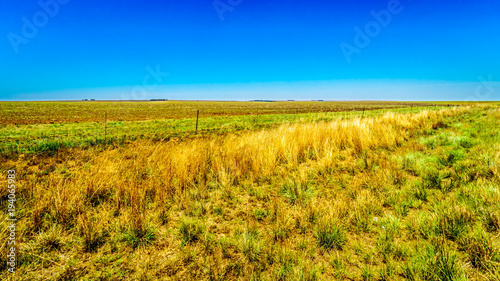 The wide open farmland along the R39 in the Vaal River region of southern Mpumalanga province in South Africa photo