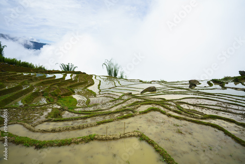 Terraced rice field in water season, the time before starting grow rice, with clouds on background in Y Ty, Lao Cai province, Vietnam