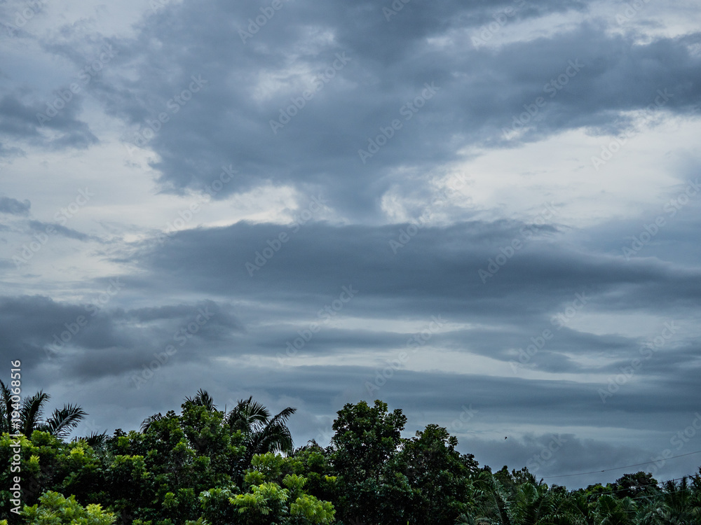 dark cloud over the tree and it maybe rain dark cloud over the tree and it maybe rain