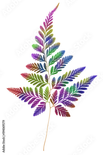 Multicolour Fern Leaf