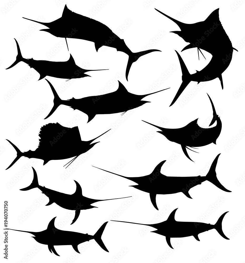 Obraz premium Fish Silhouettes