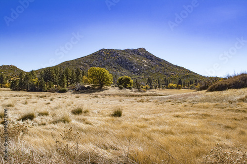 Lone Mountain Peak behind Fall Colors and Golden Tall Grass by Lake Cuyamaca, California photo