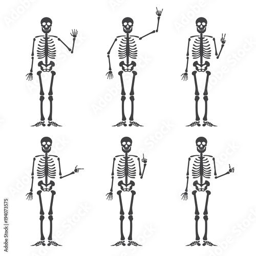 Skeleton hand gestures set: ok, finger up, finger down, fist, middle finger, Rock n roll horns, clapping palms and other emoji. Human skeleton posing isolated on white background illustration.