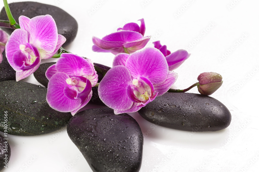 Fototapeta premium zen stone and orchid. spa concept