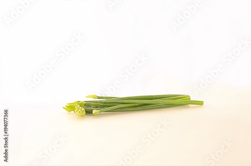 Onion flowers were placed on a white background.