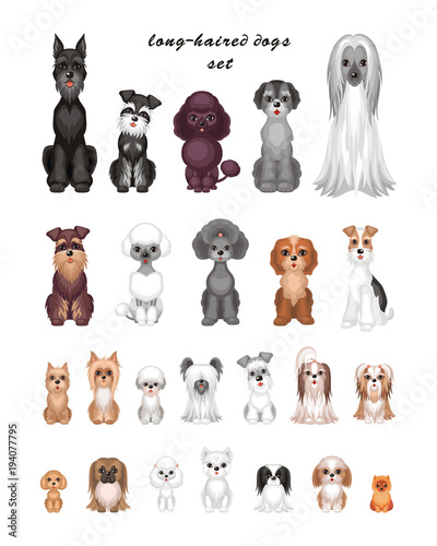 Images of a cute purebred dogs in cartoon style. Vector illustrations isolated on white background.