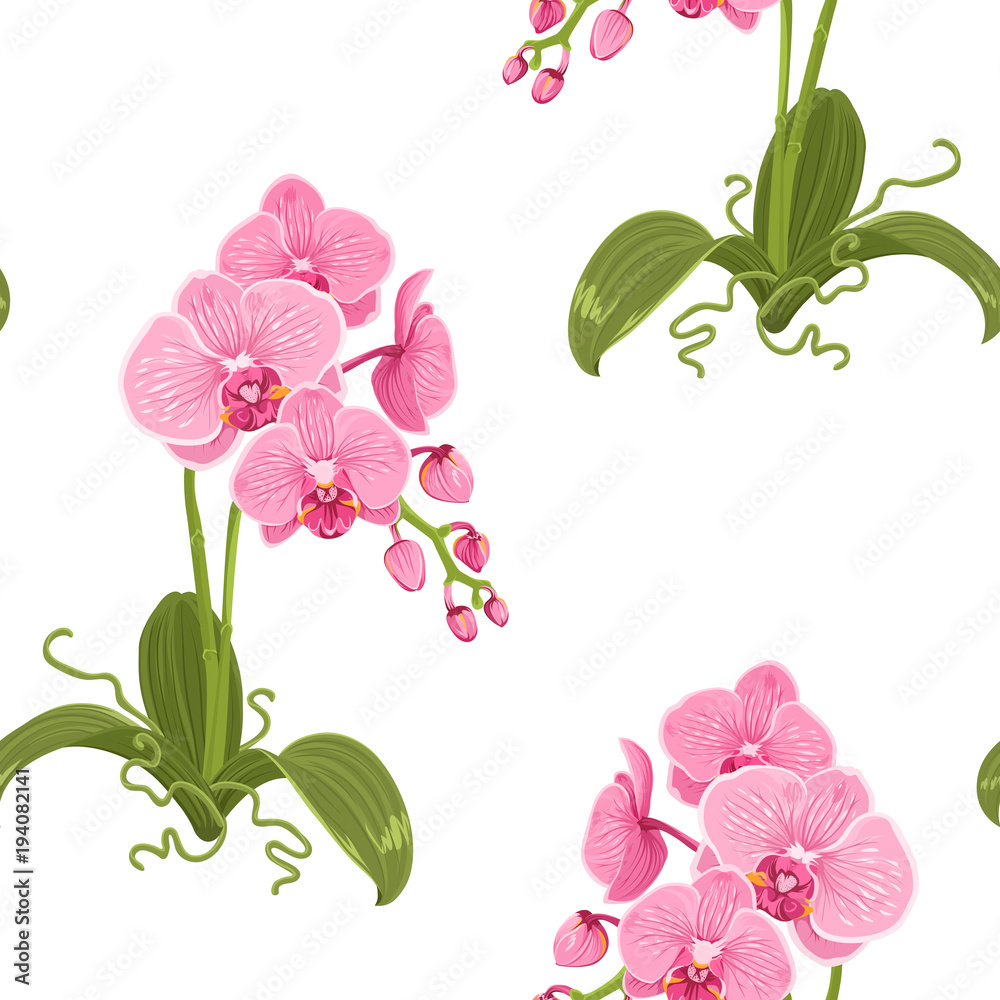 Realistic detailed drawing pink purple phalaenopsis moth orchid flowers, buds, green leaves, stem, roots. Exotic floral seamless pattern on white background. Vector design illustration.