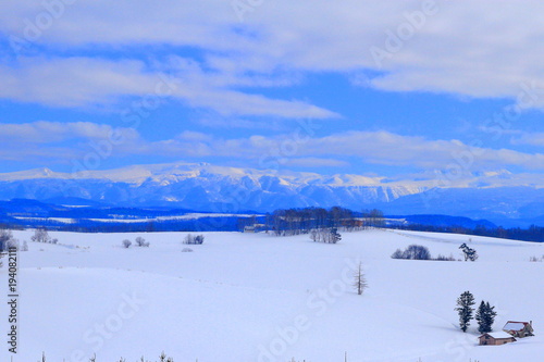 Winter scenery in Hokkaido - snowy field