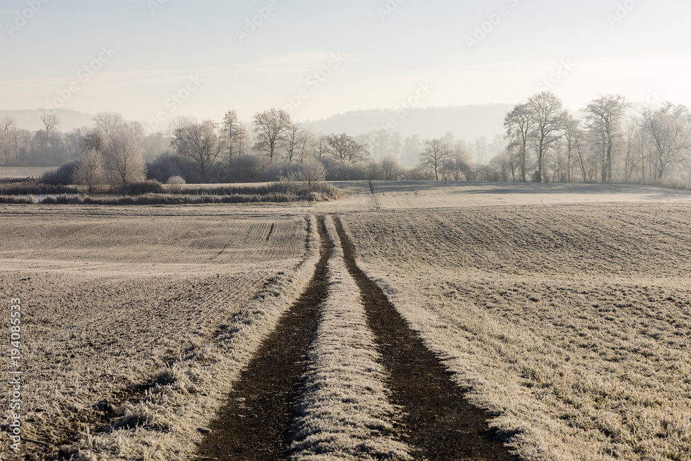 Agricultural road on a cold winter morning with fog and sun in central Switzerland Agricultural road on a cold winter morning with fog and sun in central Switzerland