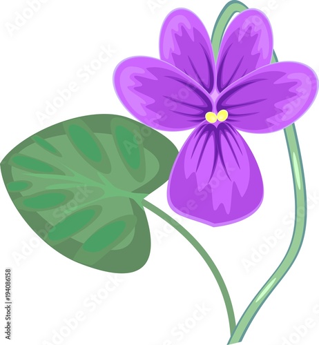 Violet flower with green leaf