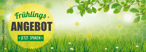 Frühlingsangebot Banner mit grünen Wiese, Buchenästen und Sonnenstrahlen