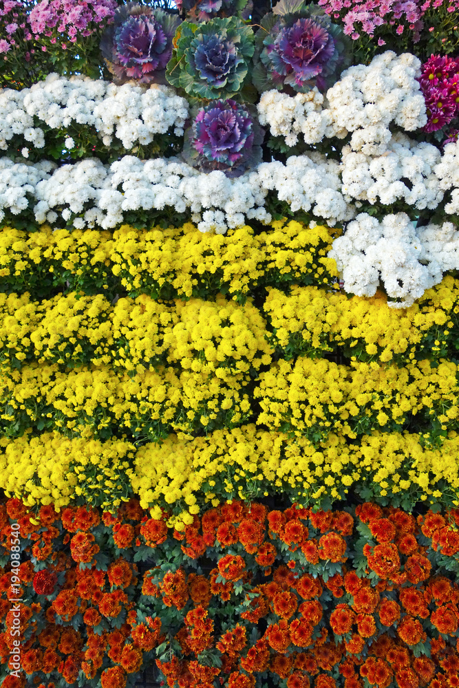  Detail of float in the annual Chiang Mai Flower Festival parade, 2018