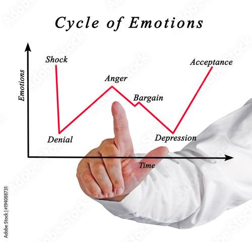 Cycle of Emotions