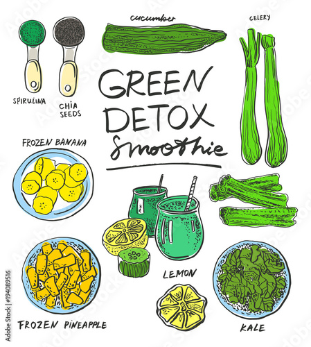 Green detox smoothie. Vector hand drawn graphic illustration.