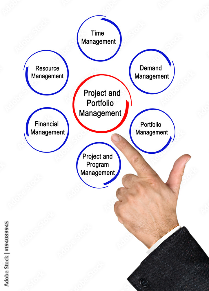Project and Portfolio Management Project and Portfolio Management