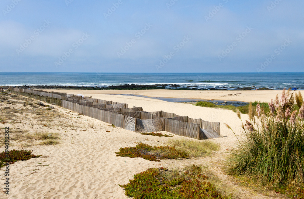 Beach with sand fence.