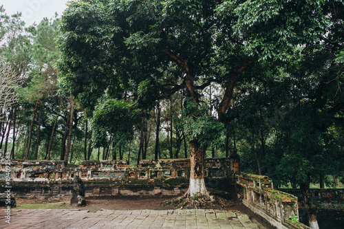 ruins of ancient architecture and green trees in Hue, Vietnam