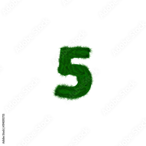  numbers decorated with pine branches. Number- 5. Five.