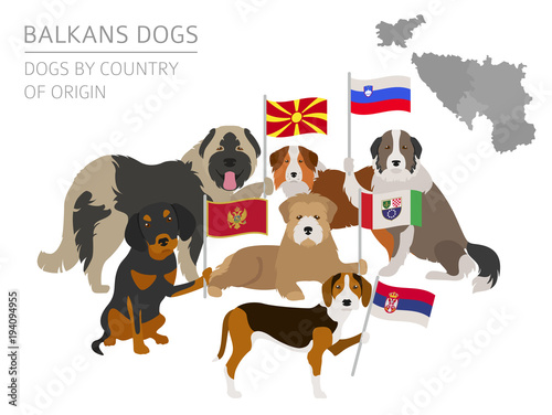 Dogs by country of origin. Balkans dog breeds: Macedonian, Bosnian, Montenegrin, Serbian, Slovenian. Infographic template
