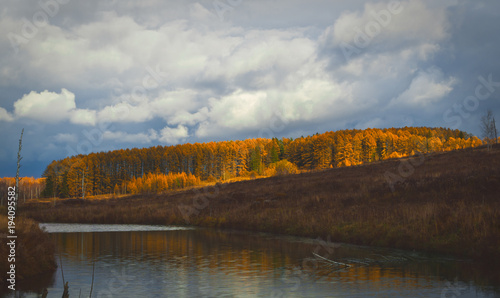 Fototapeta Naklejka Na Ścianę i Meble -  Autumn landscape. Russia Tula region, the Volot River.