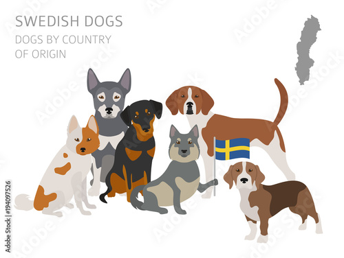 Dogs by country of origin. Swedish dog breeds. Infographic template
