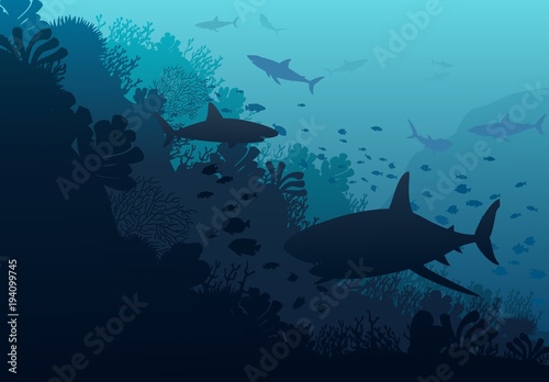 Ocean underwater world with shark, vector illustration