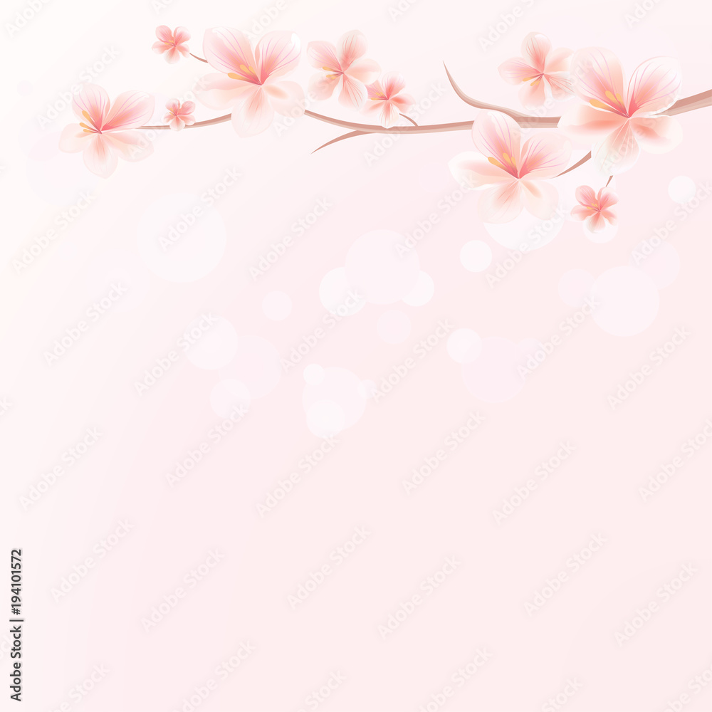 Branch of Sakura with flowers on Pink bokeh background. Apple-tree flowers. Cherry blossom. Vector Branch of Sakura with flowers on Pink bokeh background. Apple-tree flowers. Cherry blossom. Vector