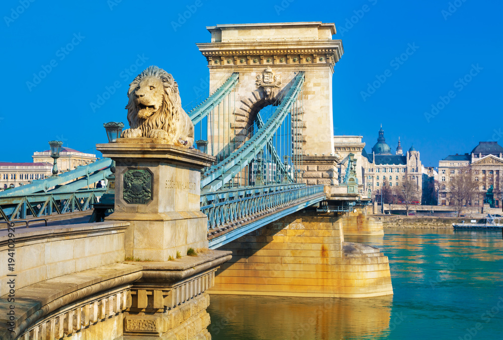 Naklejka premium Widok z bliska na historyczną infrastrukturę mostu Liberty przez Dunaj w Budapeszcie, Węgry