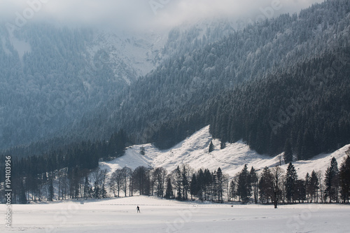 cross-country skiing in bayrischzell, winter landscape photo