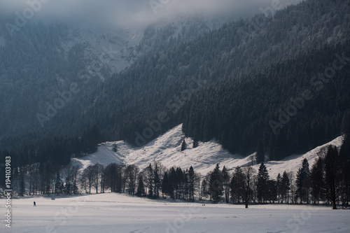 cross-country skiing in bayrischzell, winter landscape photo